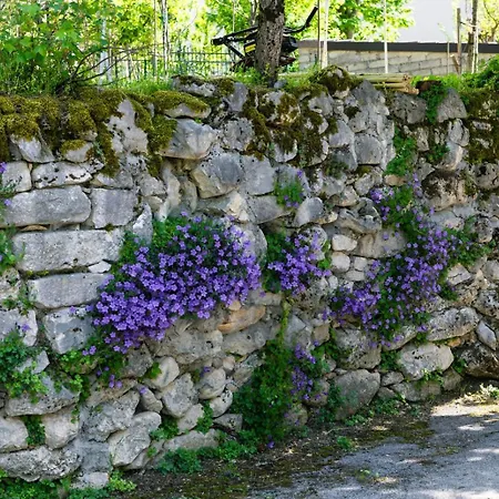 La Casa Del Vico 別荘 *